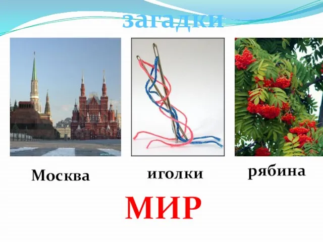 Москва иголки рябина МИР загадки