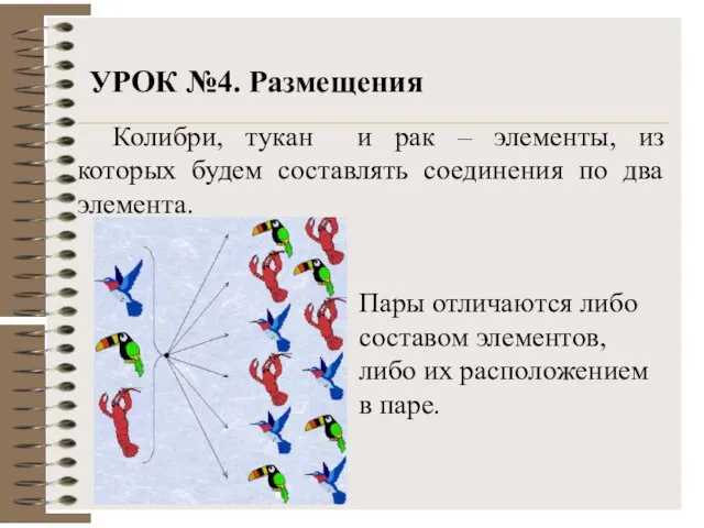 УРОК №4. Размещения Колибри, тукан и рак – элементы, из которых будем