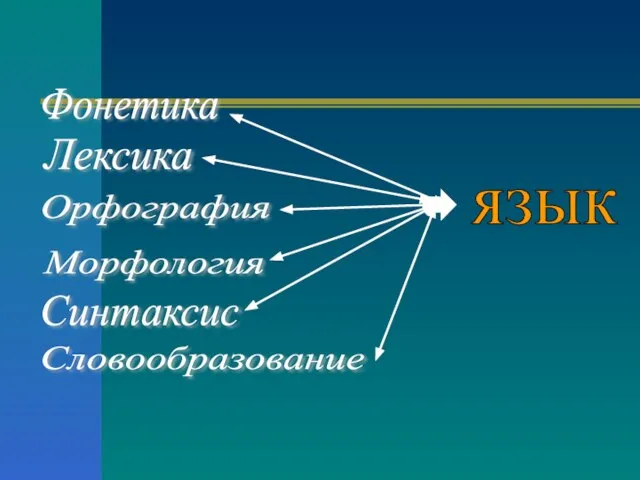 язык Фонетика Лексика Орфография Морфология Синтаксис Словообразование