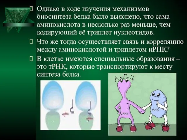 Однако в ходе изучения механизмов биосинтеза белка было выяснено, что сама аминокислота