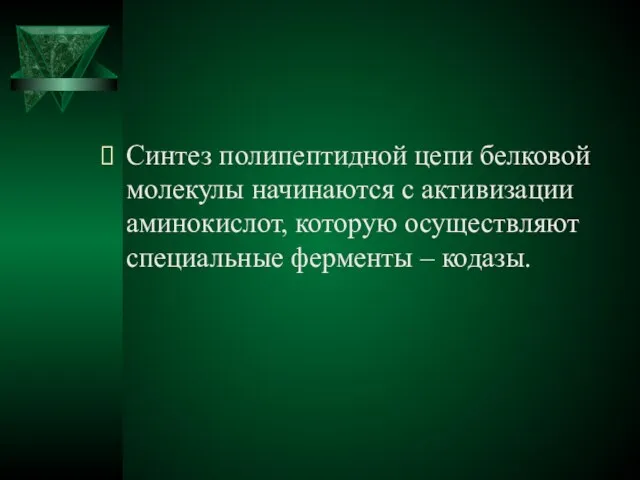 Синтез полипептидной цепи белковой молекулы начинаются с активизации аминокислот, которую осуществляют специальные ферменты – кодазы.