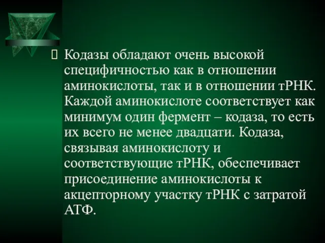 Кодазы обладают очень высокой специфичностью как в отношении аминокислоты, так и в