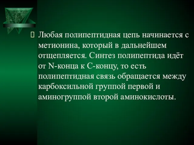 Любая полипептидная цепь начинается с метионина, который в дальнейшем отщепляется. Синтез полипептида