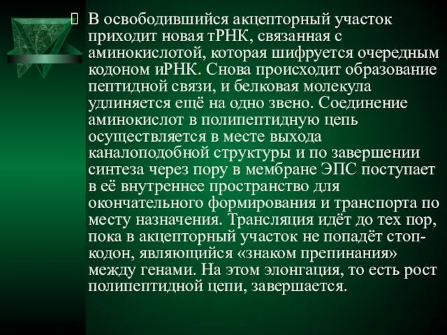 В освободившийся акцепторный участок приходит новая тРНК, связанная с аминокислотой, которая шифруется