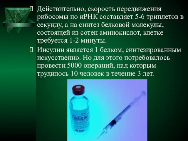 Действительно, скорость передвижения рибосомы по иРНК составляет 5-6 триплетов в секунду, а