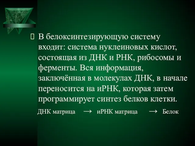 В белоксинтезирующую систему входит: система нуклеиновых кислот, состоящая из ДНК и РНК,