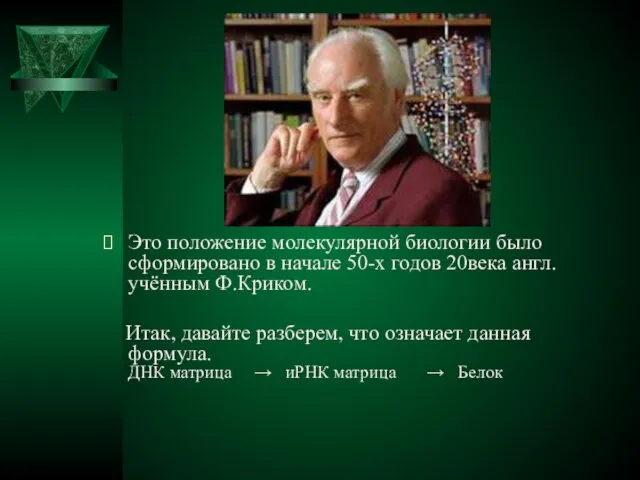 Это положение молекулярной биологии было сформировано в начале 50-х годов 20века англ.