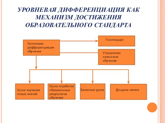 УРОВНЕВАЯ ДИФФЕРЕНЦИАЦИЯ КАК МЕХАНИЗМ ДОСТИЖЕНИЯ ОБРАЗОВАТЕЛЬНОГО СТАНДАРТА