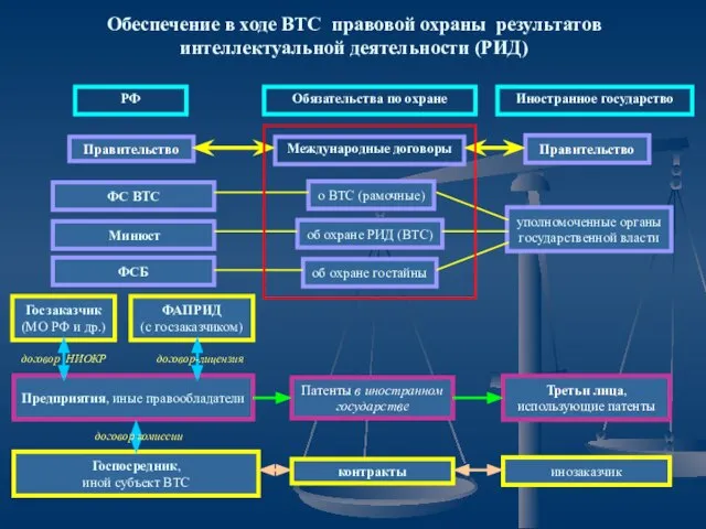 Обеспечение в ходе ВТС правовой охраны результатов интеллектуальной деятельности (РИД) РФ Правительство