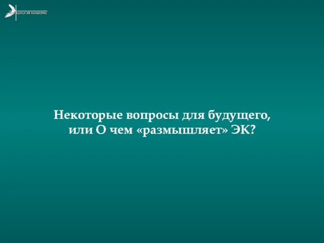 Некоторые вопросы для будущего, или О чем «размышляет» ЭК?