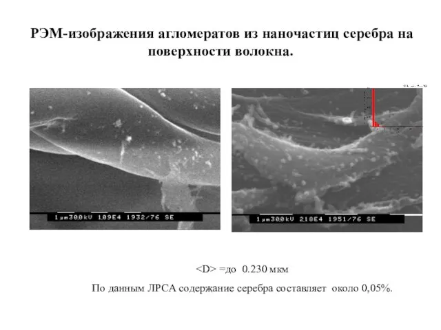 РЭМ-изображения агломератов из наночастиц серебра на поверхности волокна. =до 0.230 мкм По