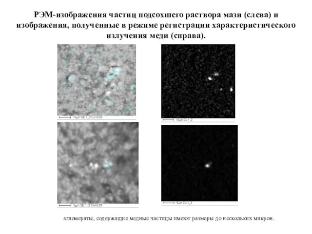 РЭМ-изображения частиц подсохшего раствора мази (слева) и изображения, полученные в режиме регистрации