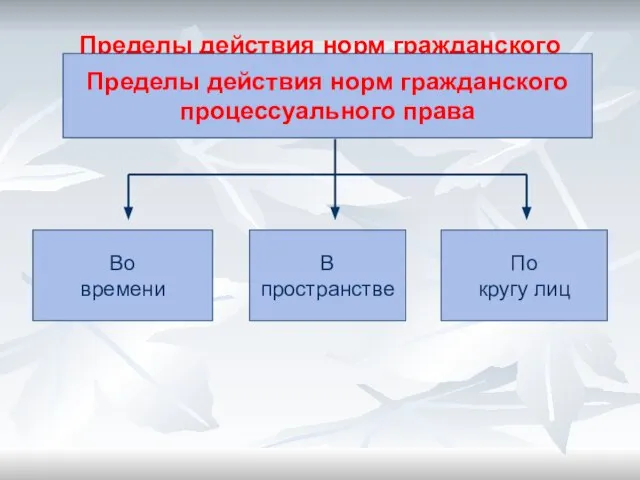 Пределы действия норм гражданского процессуального права Пределы действия норм гражданского процессуального права