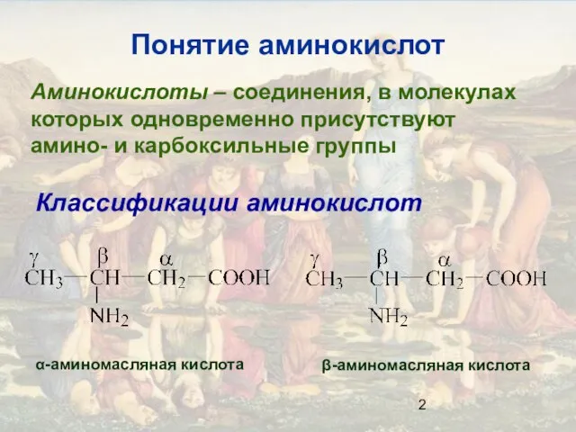 Понятие аминокислот Аминокислоты – соединения, в молекулах которых одновременно присутствуют амино- и