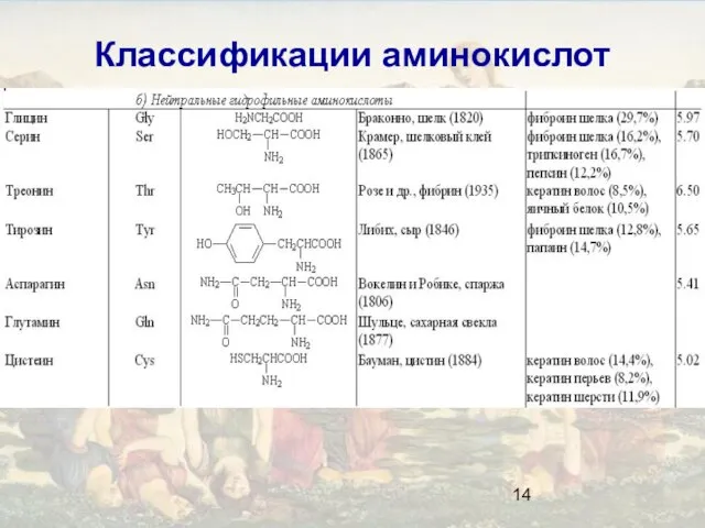 Классификации аминокислот