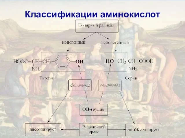 Классификации аминокислот