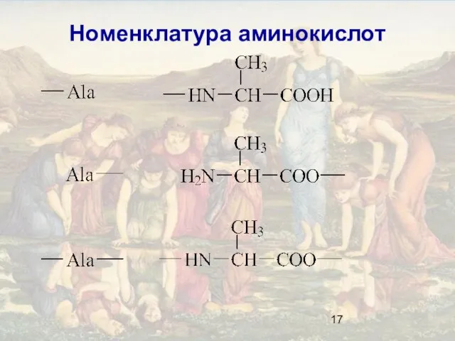 Номенклатура аминокислот