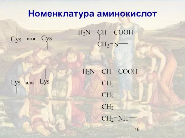 Номенклатура аминокислот или или