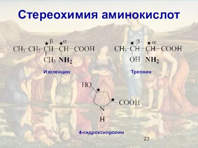 Стереохимия аминокислот Изолейцин Треонин 4-гидроксипролин