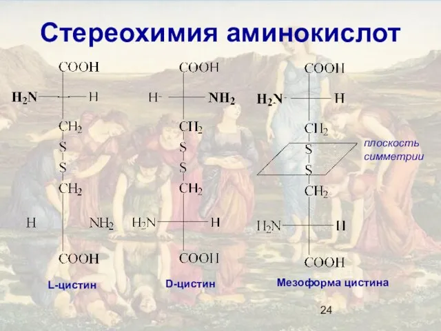 Стереохимия аминокислот плоскость симметрии L-цистин D-цистин Мезоформа цистина