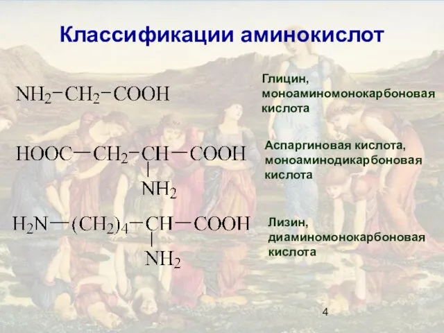 Классификации аминокислот Глицин, моноаминомонокарбоновая кислота Аспаргиновая кислота, моноаминодикарбоновая кислота Лизин, диаминомонокарбоновая кислота