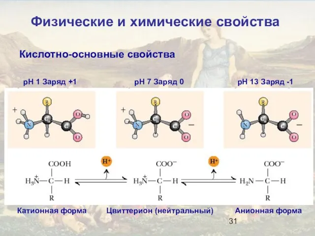 Кислотно-основные свойства pH 1 Заряд +1 pH 7 Заряд 0 pH 13