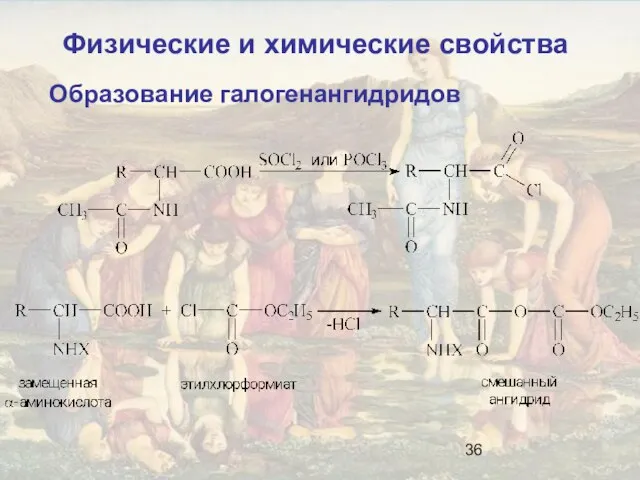 Образование галогенангидридов Физические и химические свойства