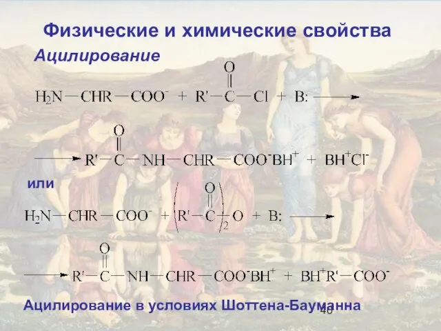 Ацилирование Ацилирование в условиях Шоттена-Бауманна или Физические и химические свойства