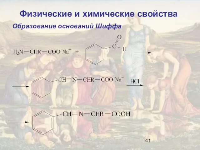 Образование оснований Шиффа Физические и химические свойства