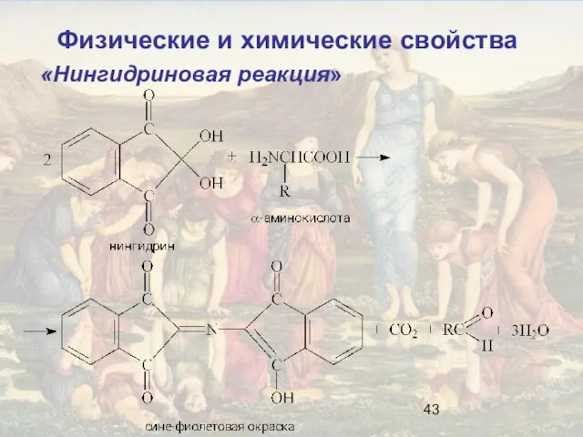 «Нингидриновая реакция» Физические и химические свойства