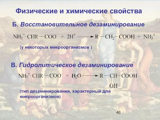 Б. Восстановительное дезаминирование (у некоторых микроорганизмов ) В. Гидролитическое дезаминирование (тип дезаминирования,