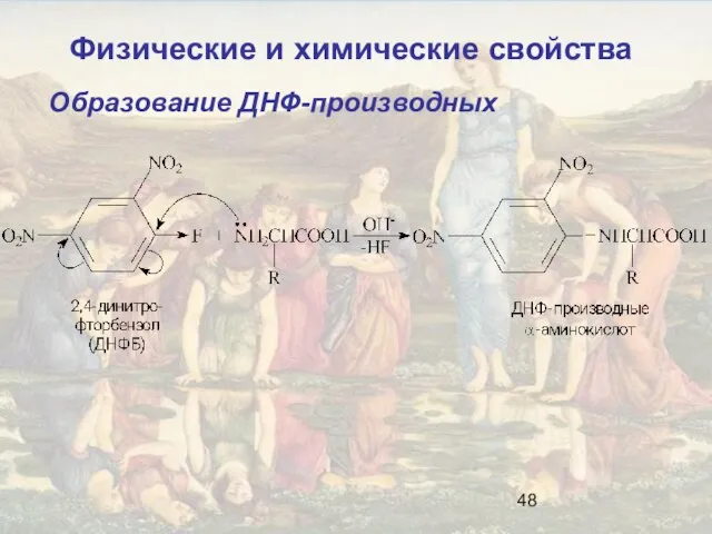 Образование ДНФ-производных Физические и химические свойства