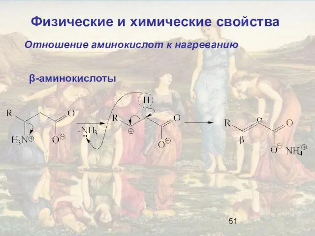 Отношение аминокислот к нагреванию β-аминокислоты Физические и химические свойства