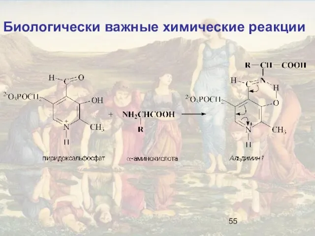 Биологически важные химические реакции