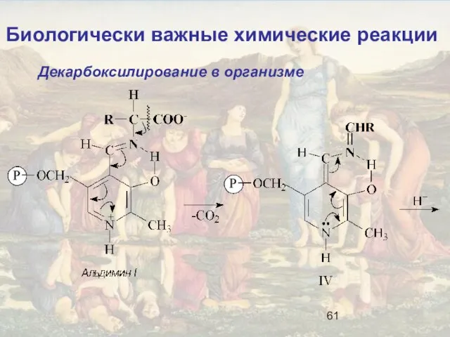 Биологически важные химические реакции Декарбоксилирование в организме