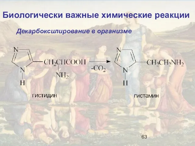 Биологически важные химические реакции Декарбоксилирование в организме