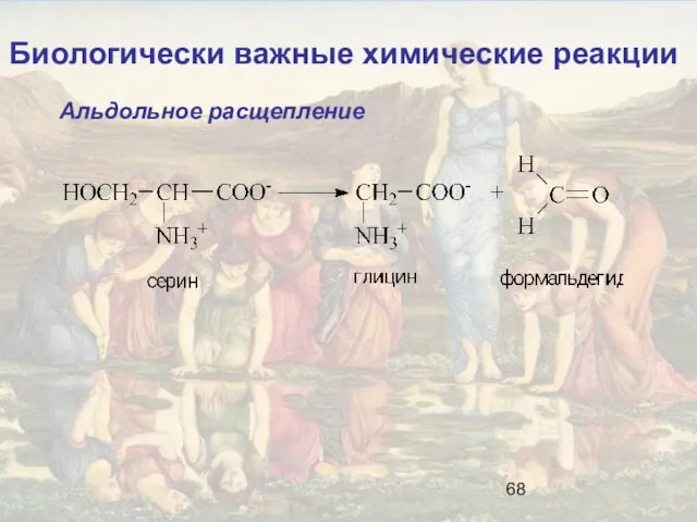 Биологически важные химические реакции Альдольное расщепление