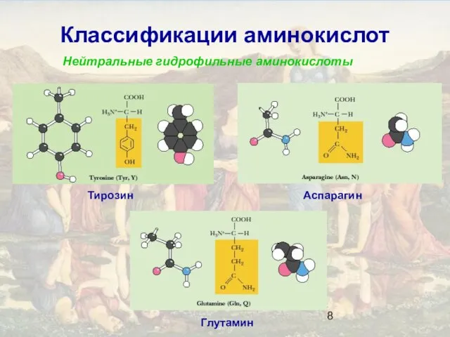 Классификации аминокислот Нейтральные гидрофильные аминокислоты Тирозин Аспарагин Глутамин