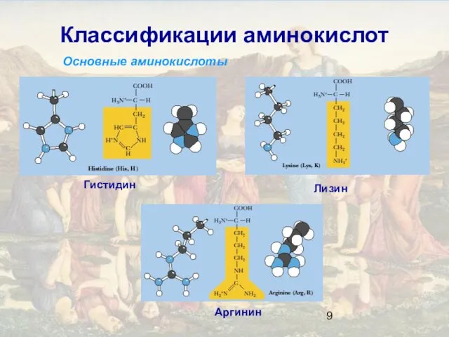 Классификации аминокислот Основные аминокислоты Лизин Аргинин Гистидин