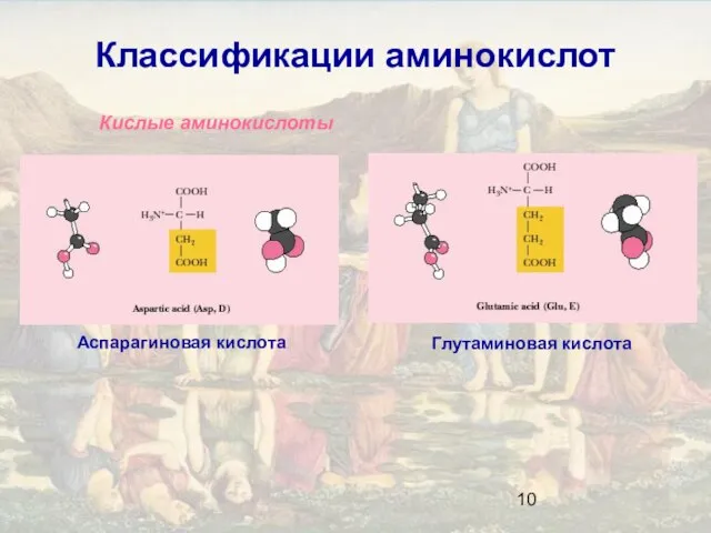 Классификации аминокислот Кислые аминокислоты Глутаминовая кислота Аспарагиновая кислота