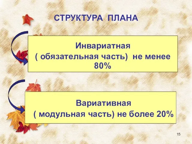 СТРУКТУРА ПЛАНА Инвариатная ( обязательная часть) не менее 80% Вариативная ( модульная часть) не более 20%