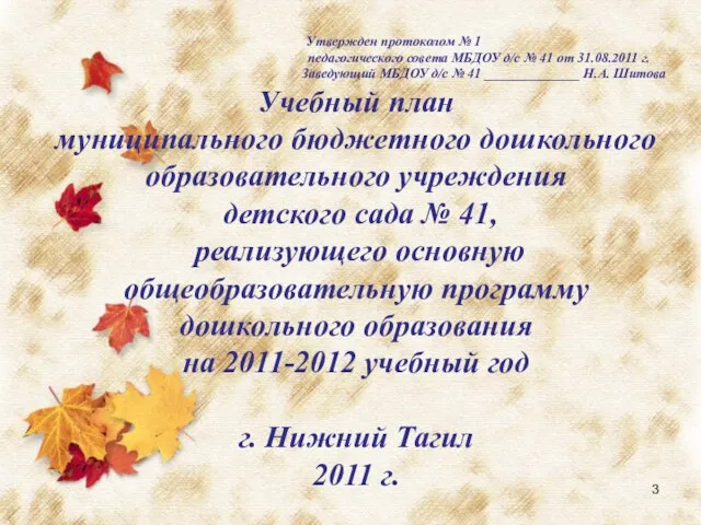 Утвержден протоколом № 1 педагогического совета МБДОУ д/с № 41 от 31.08.2011