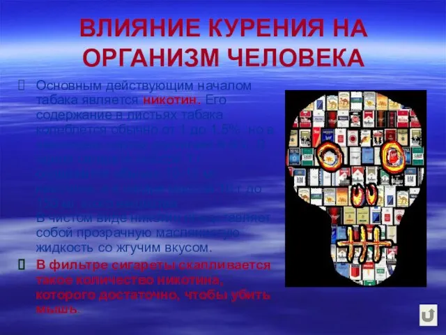 ВЛИЯНИЕ КУРЕНИЯ НА ОРГАНИЗМ ЧЕЛОВЕКА Основным действующим началом табака является никотин. Его