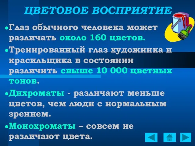 ЦВЕТОВОЕ ВОСПРИЯТИЕ Глаз обычного человека может различать около 160 цветов. Тренированный глаз