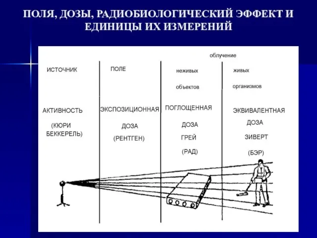 ПОЛЯ, ДОЗЫ, РАДИОБИОЛОГИЧЕСКИЙ ЭФФЕКТ И ЕДИНИЦЫ ИХ ИЗМЕРЕНИЙ