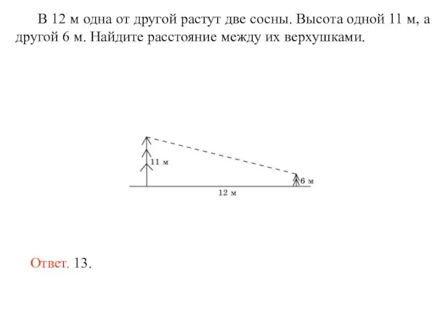 В 12 м одна от другой растут две сосны. Высота одной 11