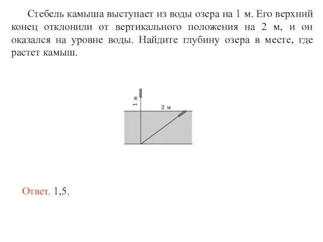 Стебель камыша выступает из воды озера на 1 м. Его верхний конец