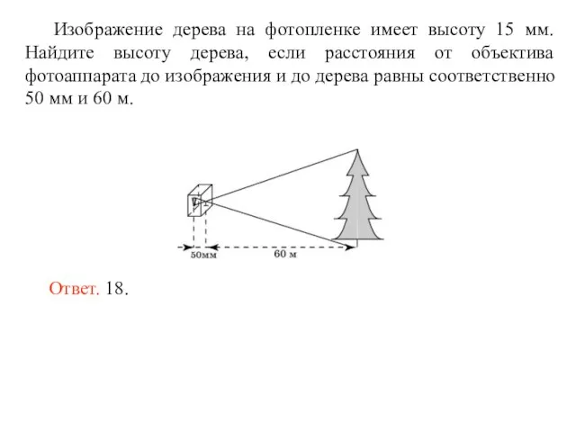 Изображение дерева на фотопленке имеет высоту 15 мм. Найдите высоту дерева, если