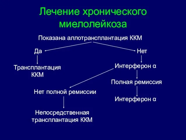 Лечение хронического миелолейкоза Показана аллотрансплантация ККМ Да Трансплантация ККМ Нет Интерферон α