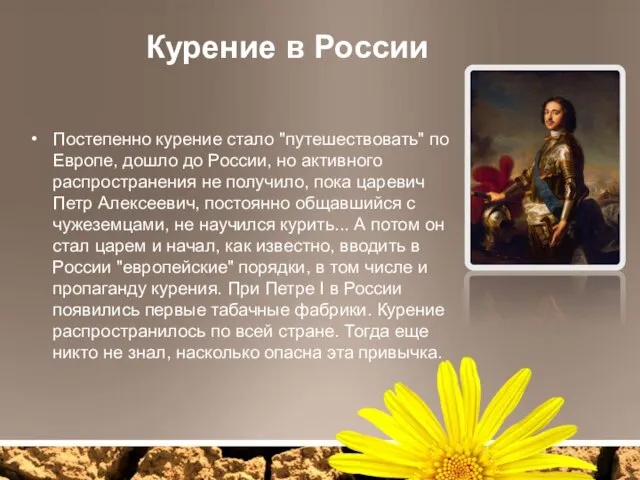 Курение в России Постепенно курение стало "путешествовать" по Европе, дошло до России,